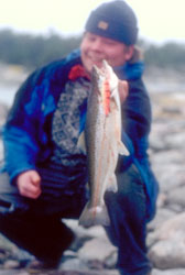 Irritation colors are needed when fishing seatrouts in cold waters.