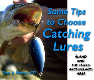 Catching Lures