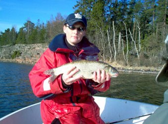 Tawny and a nice almost two kilos Ide, which hit on greenish spoon.