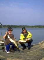 Brändö - Oolannin itäinen helmi osa 2 Ahventen pyynti kannattaa aloittaa jigilitkalla, koska se on sallittu pyyntiväline