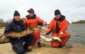 Petrus, Tawny and Pete + three Pikes over 5 kgs. Photo SFM-toimitus