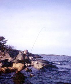 Me, Pikes and Flyfishing