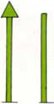 THE RIGHT- MARK (green)