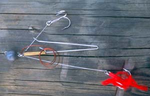 The Drachkovitch bait rig.