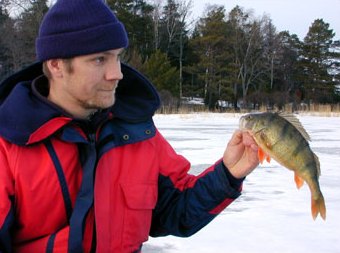 Pete and the biggest perch from Slemmern, exact 600 g.