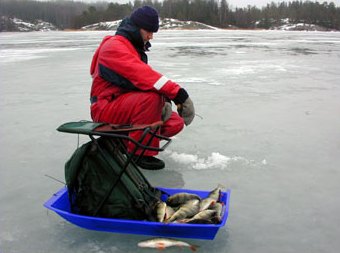 We had already suffered rain half a day, but the sledge is already half full, too.