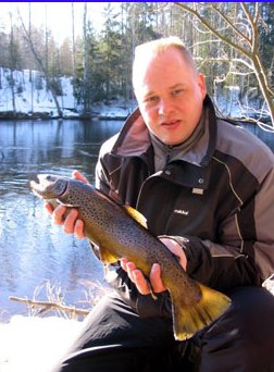 Hienokuntoinen Kapeen kevättaimen.