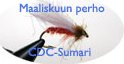 Maaliskuun Perho CDC-Sumari (19.3.2002)