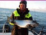 Mahtikaloja Vänerniltä Uistelukausi on parhaimmillaan. Nyt on aika hakea joulukala! SFM-toimitus